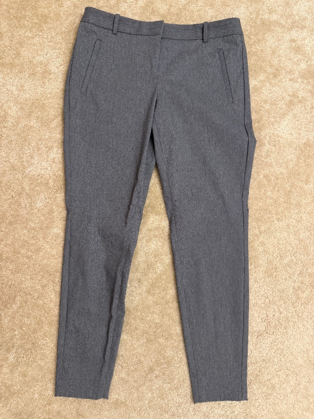 he Limited Exact Stretch Gray Slim Pants 6R